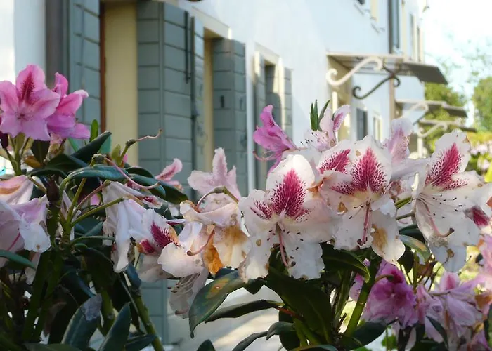 Residenza Serena Bed & Breakfast