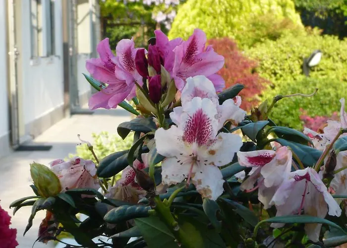 Residenza Serena Bed & Breakfast Mirano