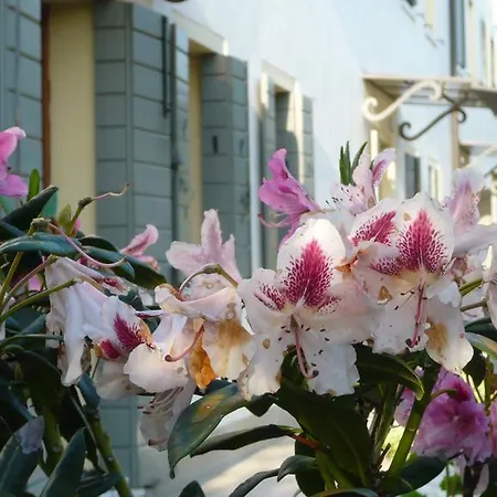 Residenza Serena Panzió